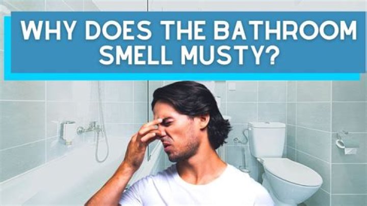 Bathroom smells musty - How To Discuss
