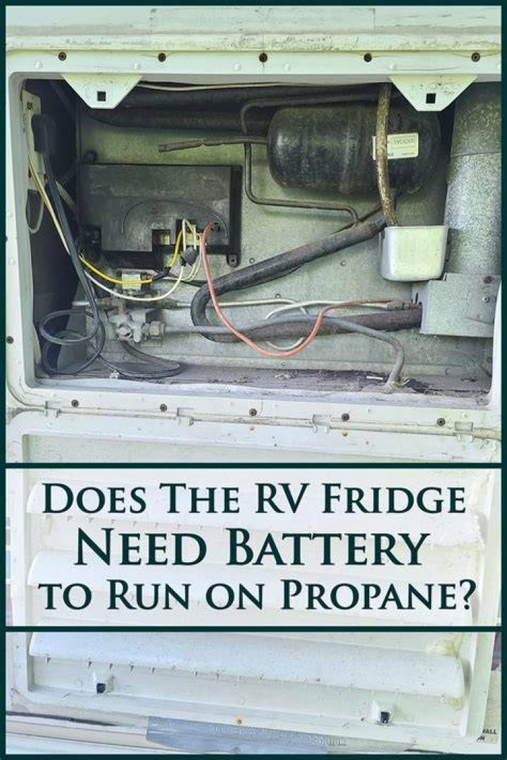 Can a Dometic refrigerator switch from electric to propane?