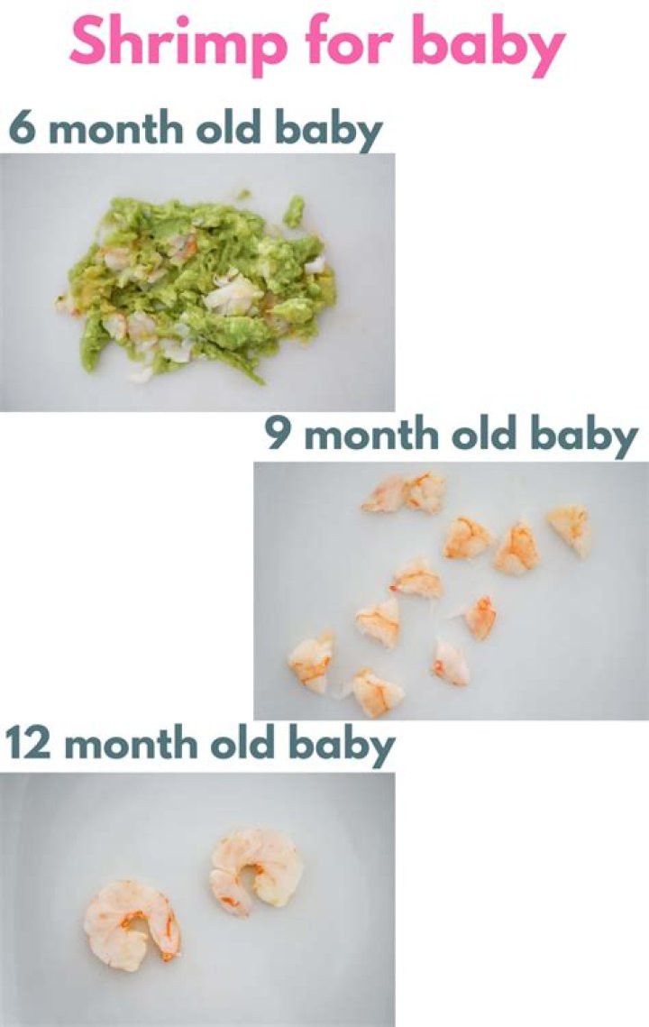 Can babies eat shrimp