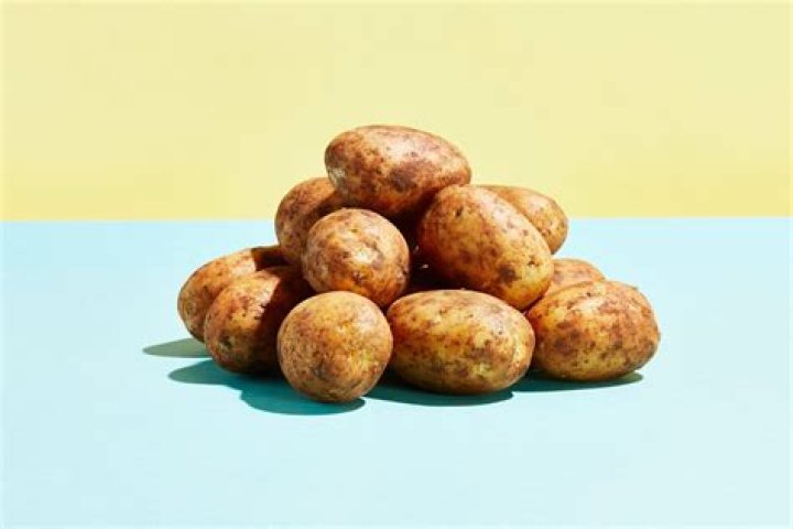 Can you eat seed potatoes