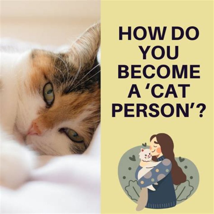 Cat Person - How To Discuss