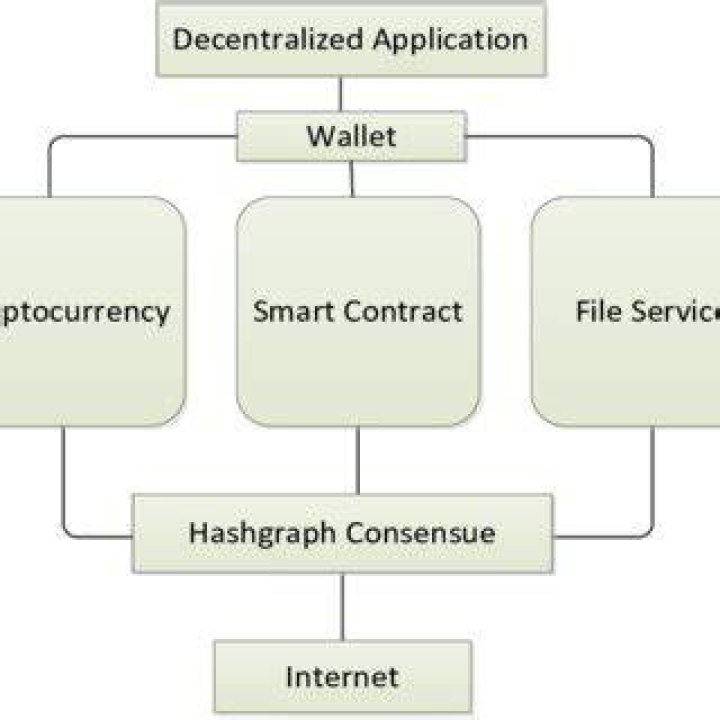 Hashgraph Consensus Mechanism - How To Discuss