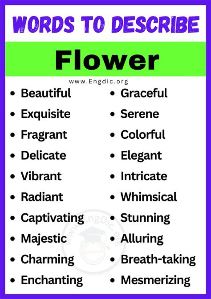 How do you describe a beautiful flower