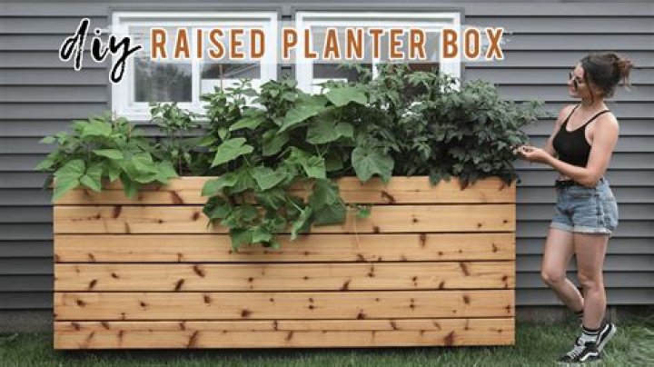 How do you prepare a planter box for planting