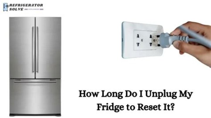 How long do I unplug my fridge to reset it?
