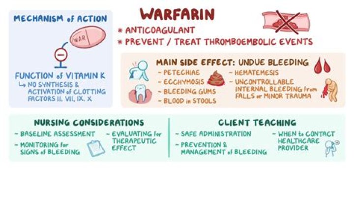 How much can I drink on warfarin?