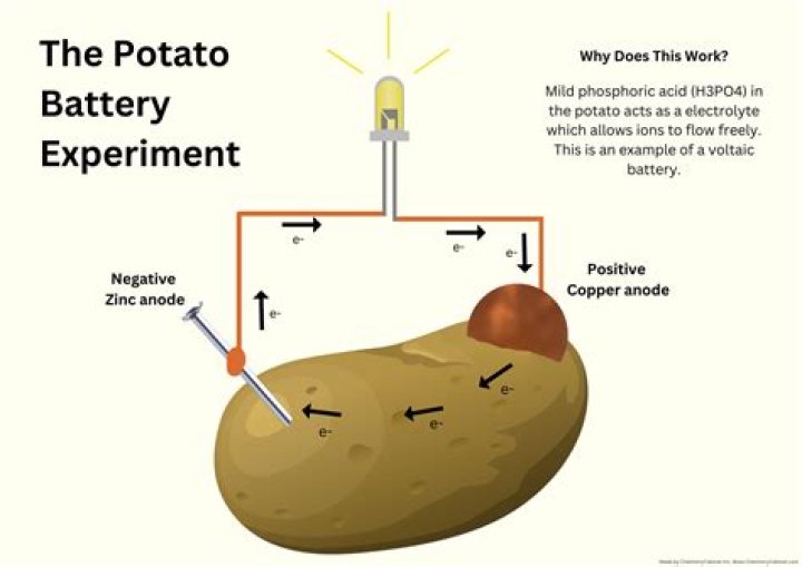 How much energy can a potato store?