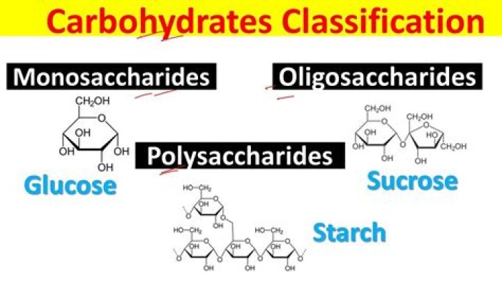 Is a potato a monosaccharide disaccharide or polysaccharide?
