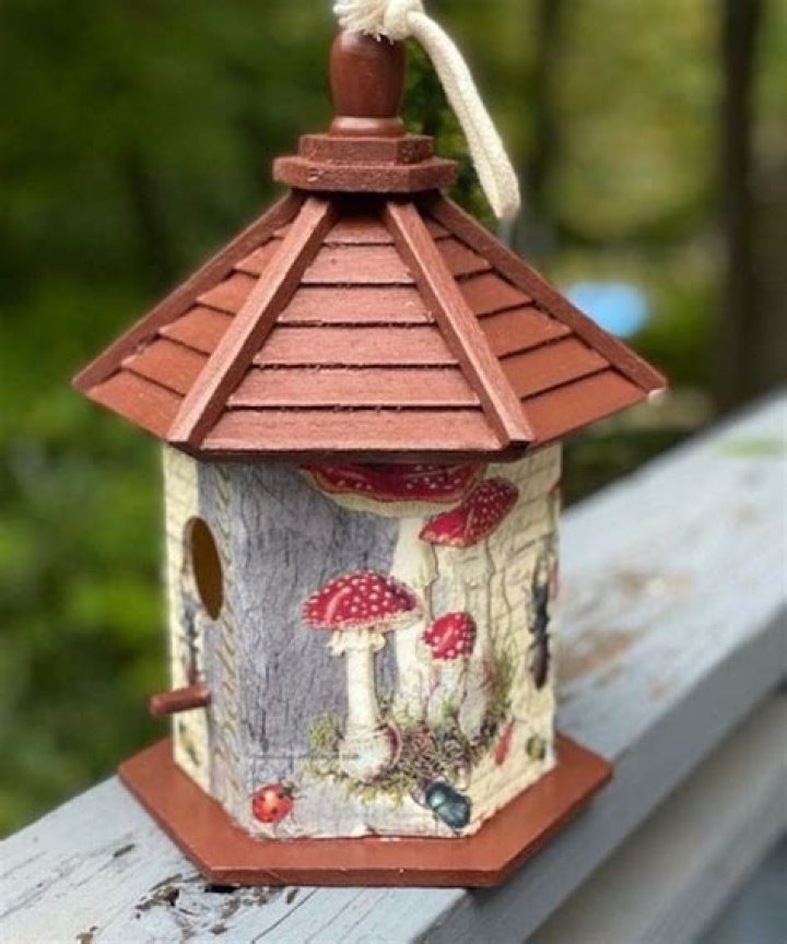 Is balsa wood safe for birds