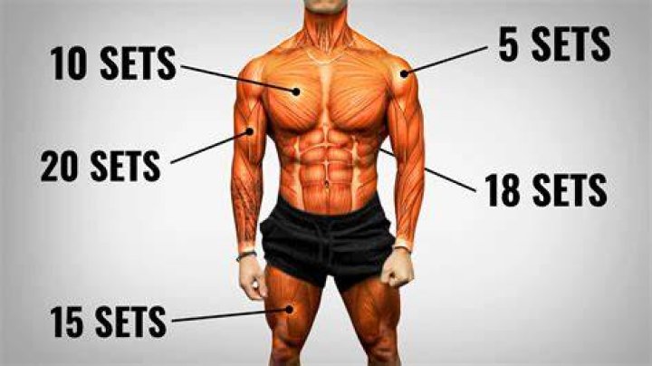 Is potatoes good for building muscle?