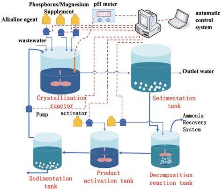NH3 in biological systems