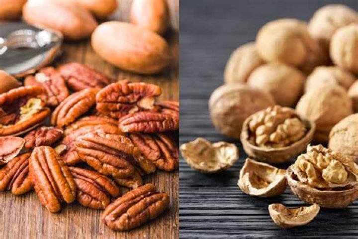 pecan walnut