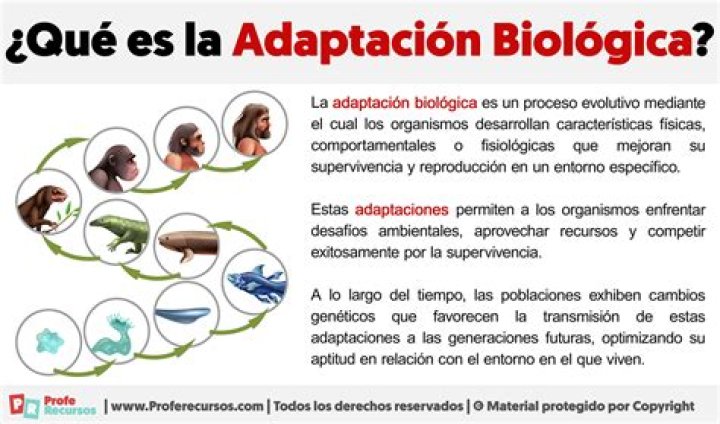 ¿Qué es adaptacion Etologica ejemplos