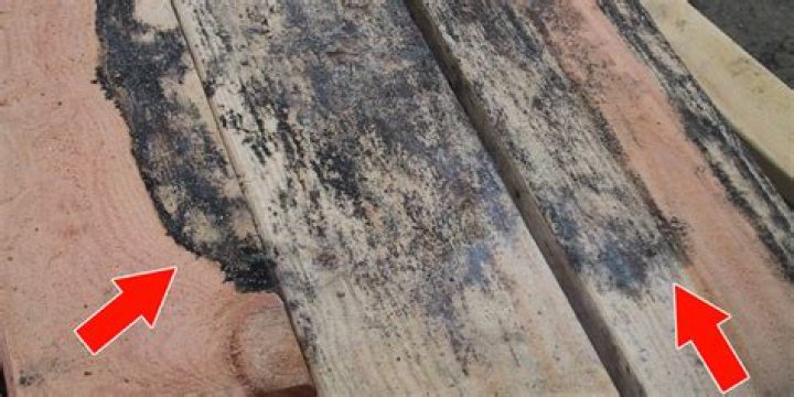 water damaged wood