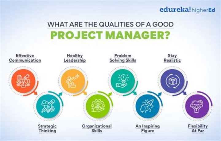 What are the 3 things a project manager needs to succeed