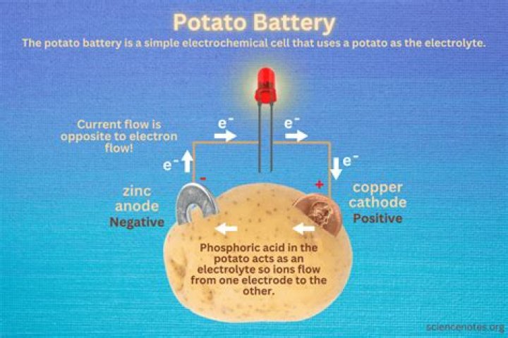 What can a potato battery power?