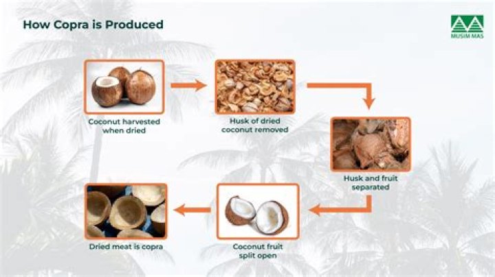 What can coconut flour be used for