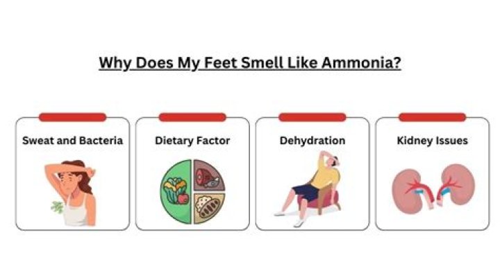 What does an ammonia leak smell like?