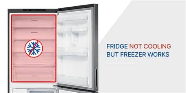 What does it mean if your fridge does not have no co?