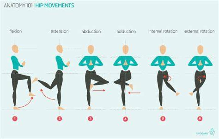 What is normal hip flexion range of motion