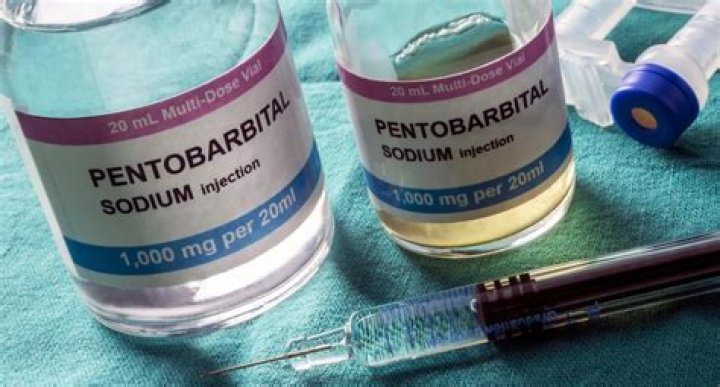 What is pentobarbital and secobarbital