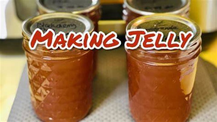 What is Rex jelly made of?