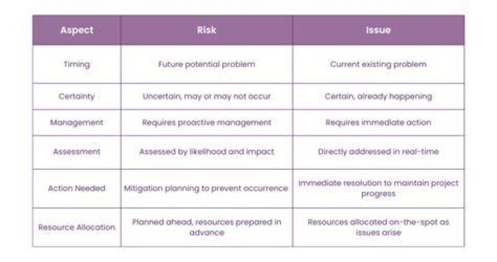 What is risk and issue in project management