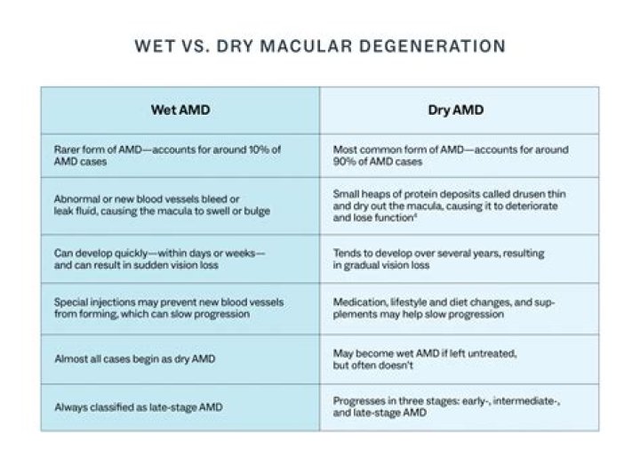 What is the difference between wet and dry silicone spray?