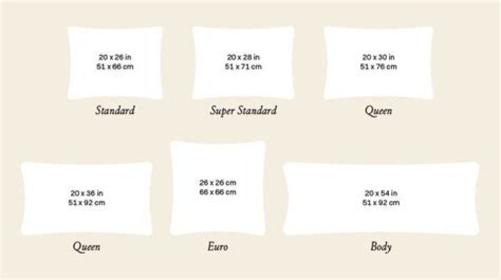 What size are Euro pillows