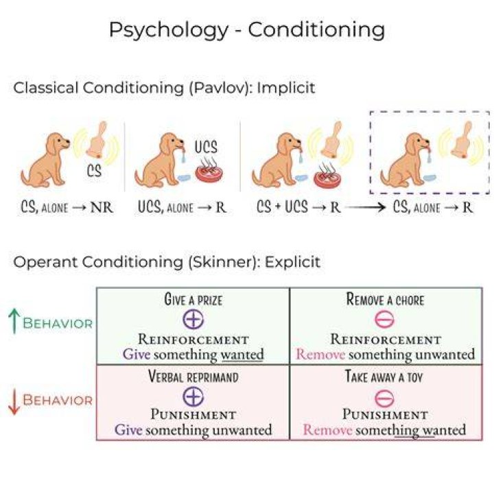 Who is associated with operant conditioning