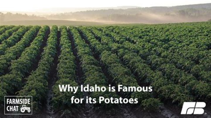 Why is Idaho known for potatoes?