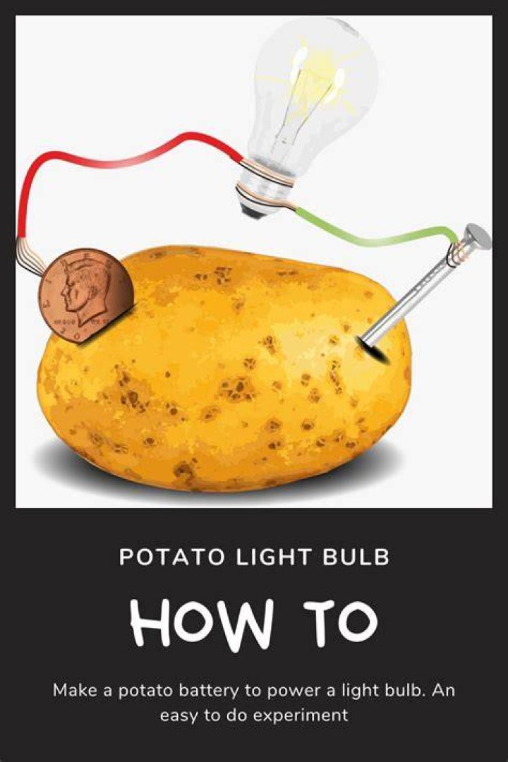 Why is my potato light bulb not working?
