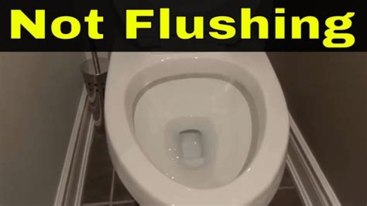 Why is RV toilet not flushing?